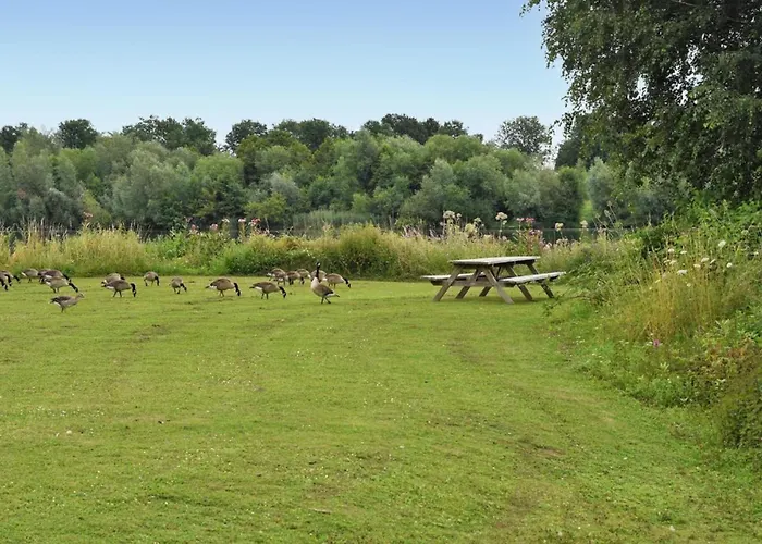 Botel House Boat Tenerife 5*
